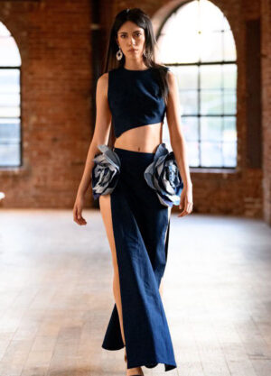Denim Half Crop & Denim Rose Skirt